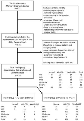 Comprehensive Quantitative Spatiotemporal Gait Analysis Identifies Gait Characteristics for Early Dementia Subtyping in Community Dwelling Older Adults